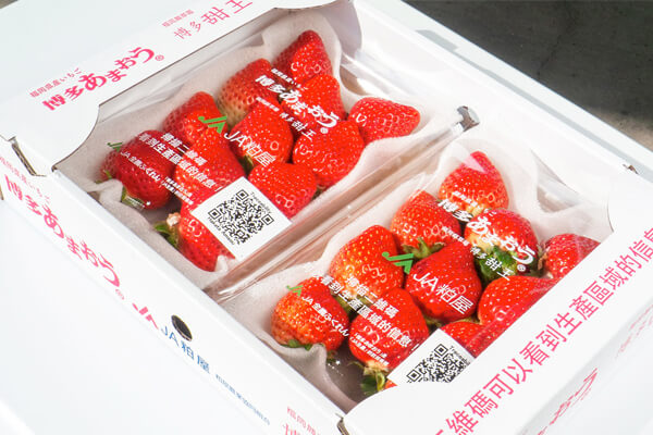 【Chaintope】九州農産物通商と共に「あまおう」の輸出トレーサビリティ実証に成功
